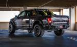 Ford F-150 Deegan 38 2015 года